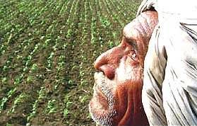 तीन कृषि विधेयक: आशा की किरण