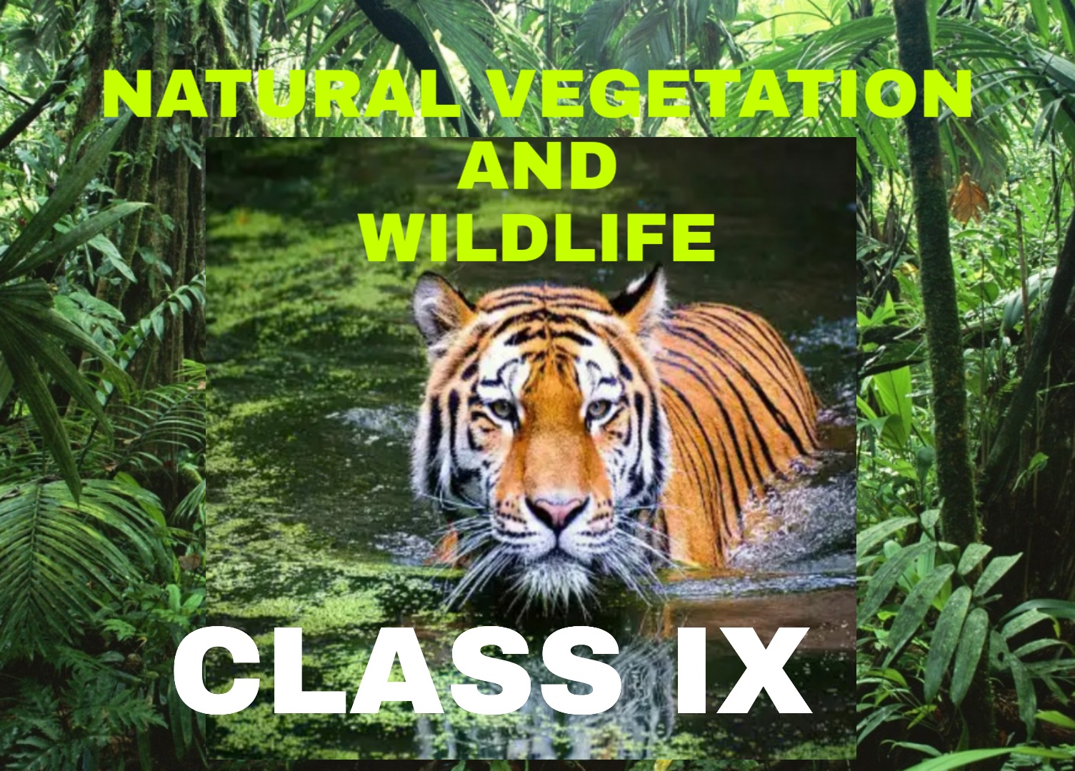 NATURAL VEGETATION AND WILDLIFE - CLASS IX