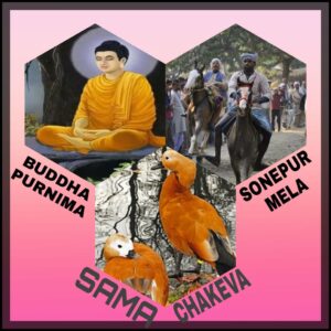 Other Festivals Of Bihar - Buddha Purnima, Sonepur Mela, Sama Chakeva