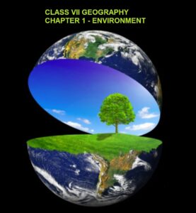 CLASS 7 GEOGRAPHY CHAPTER 1 ENVIRONMENT