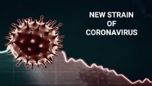 Disaster Management Project On Coronavirus For Class IX