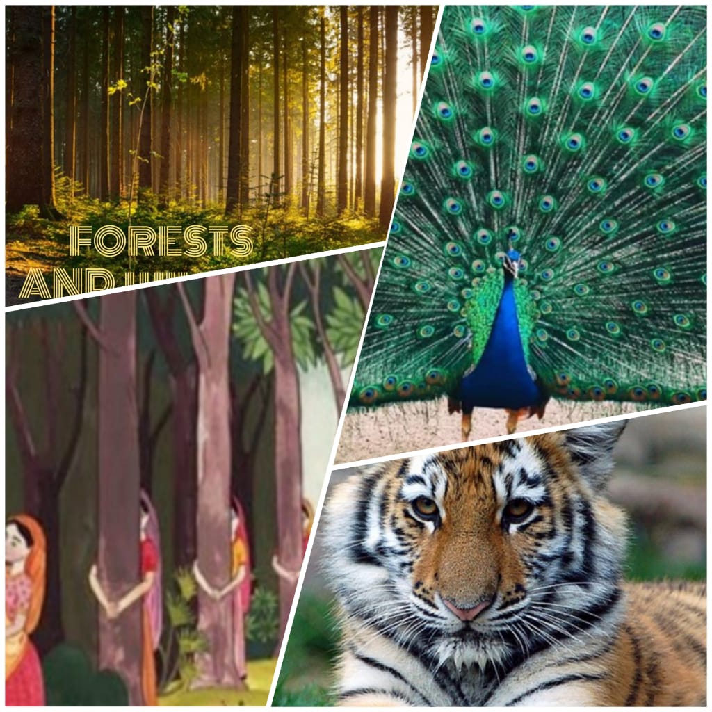 Lesson Plan On Forests and Wildlife Resources - Class X