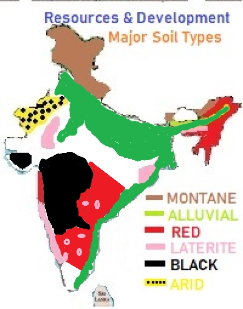 Class 10 Term I Map MCQ's: Why to lose 2 marks in Geography?