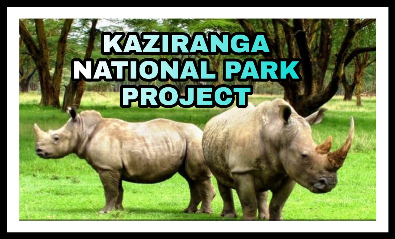 KAZIRANGA NATIONAL PARK PROJECT