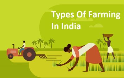 Types Of Agriculture In India – Everything You Wanted To Know About and Were Afraid To Ask