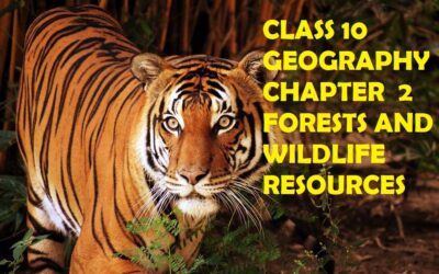Forests and Wildlife Resources – Class X Notes With 1,3 & 5 Mark Questions