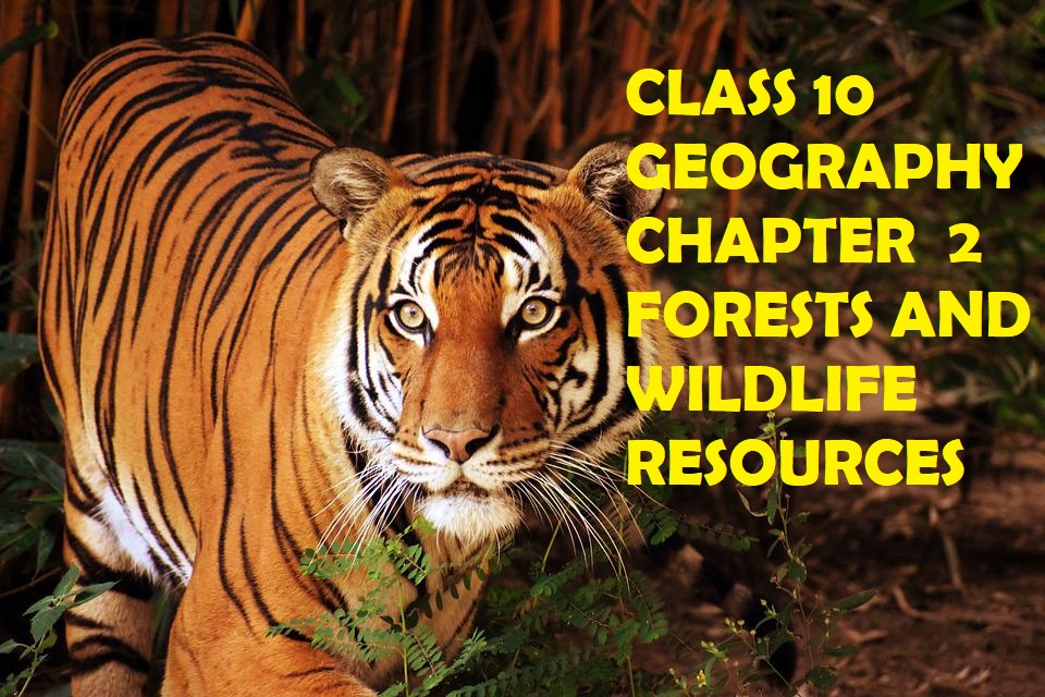 Forests and Wildlife Resources – Class X Notes With 1,3 & 5 Mark Questions