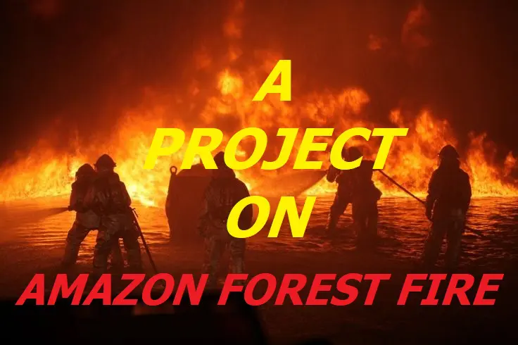 Amazon Forest Fire Project: ‘Flipped’ to Emitting More CO2 Than It Absorbs