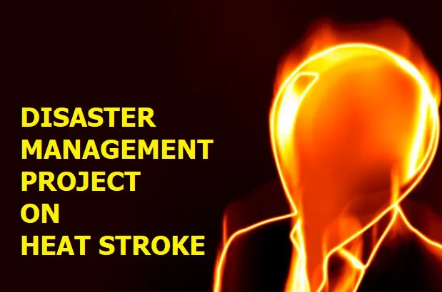 “Project On Heat Stroke”- Understanding the Risks and Prevention