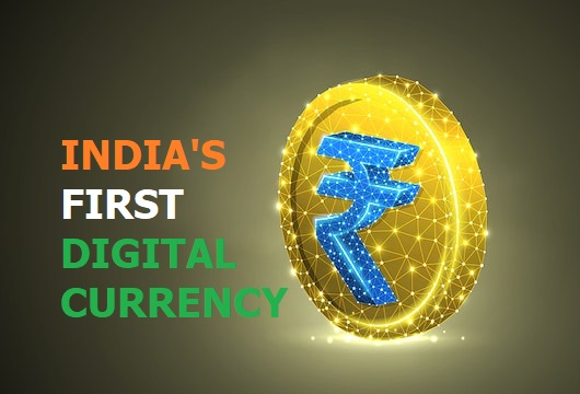 How to complete your Economics Project On India’s First Digital Currency in 60 minutes