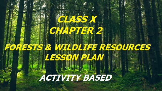 Must Include 5 Engaging Activities In Your Forests and Wildlife Resources Lesson Plan