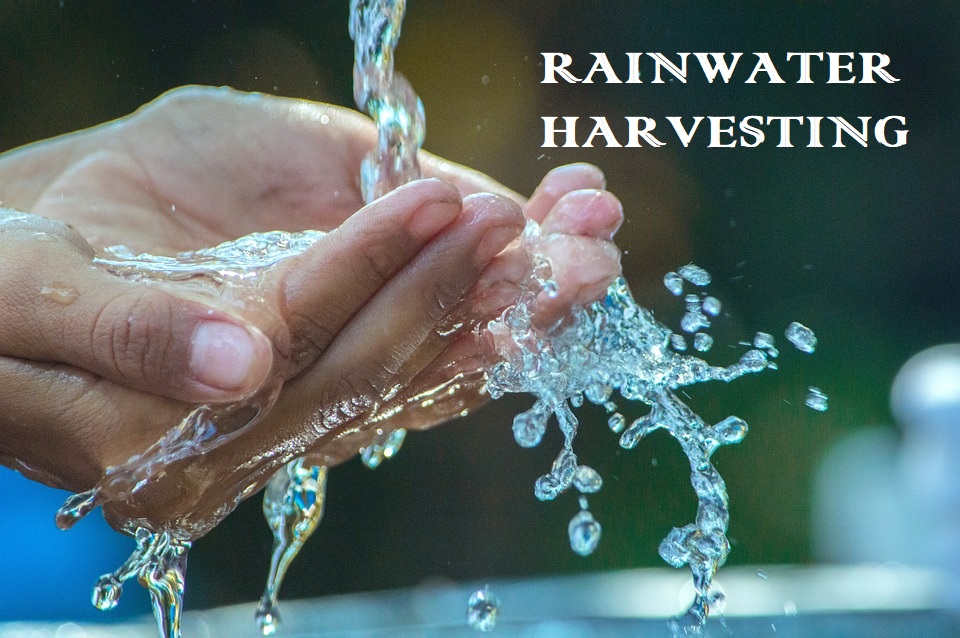 Rainwater Harvesting In India: Harnessing Nature’s Gift for Sustainability
