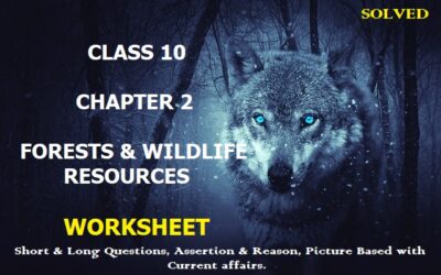NCERT GEOGRAPHY CLASS 10 CHAPTER 2 FORESTS AND WILDLIFE RESOURCES – WORKSHEET