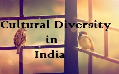 “A Kaleidoscope of Cultures: Exploring the Rich Tapestry of Cultural Diversity in India”