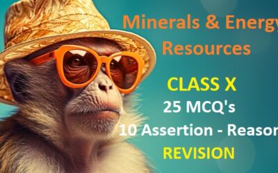 Minerals & Energy Resources Revision: Your Ultimate Guide To Success In Class X