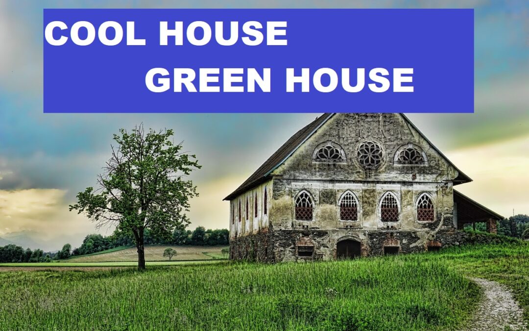 Green Roofing and Cool Roofing Solutions for Urban Heat Island in Metro Cities
