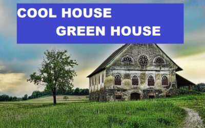 Green Roofing and Cool Roofing Solutions for Urban Heat Island in Metro Cities