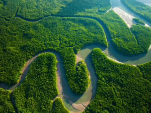 OX BOW LAKE